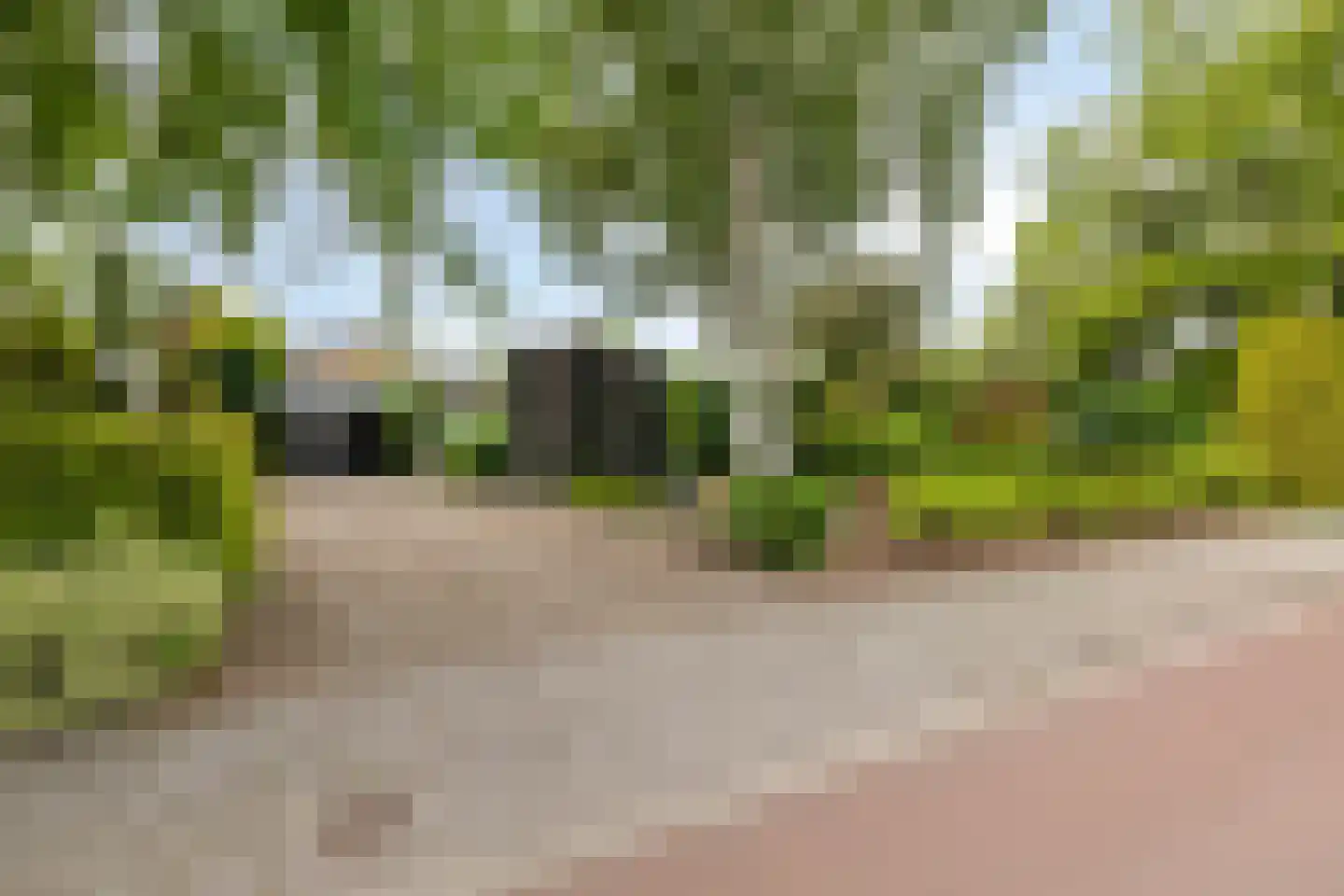 Bosschendijk 86 Oudenbosch thumbnail 47