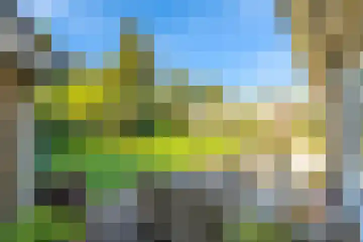 Bosschendijk 90 Oudenbosch thumbnail 23