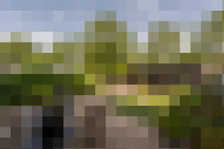 Bosschenhoek 20 Oud-Beijerland thumbnail 31