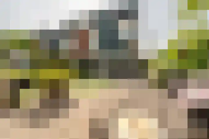 Bosschenhoek 20 Oud-Beijerland thumbnail 32