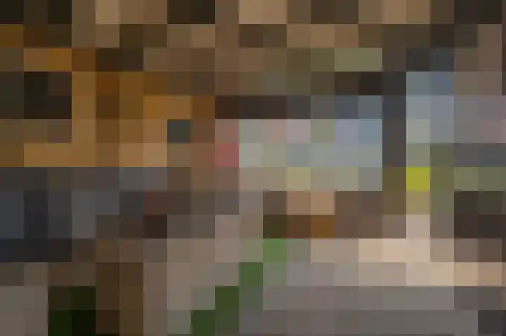 Bosschenhoek 20 Oud-Beijerland thumbnail 34