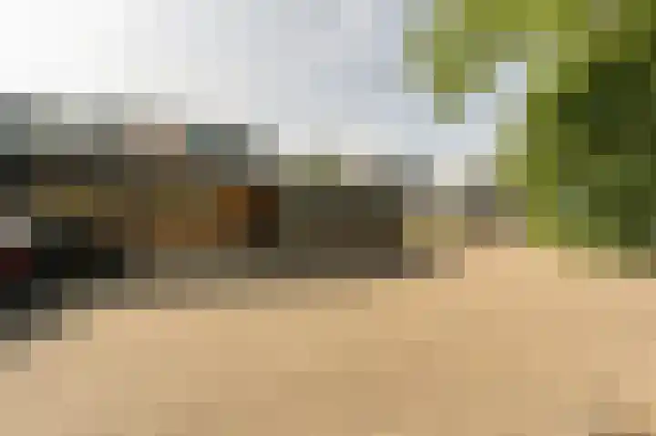 Bosschenhoek 20 Oud-Beijerland thumbnail 35