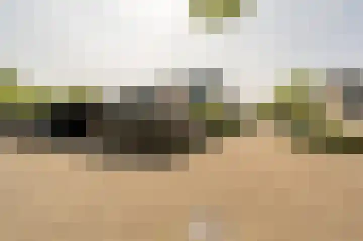 Bosschenhoek 20 Oud-Beijerland thumbnail 36