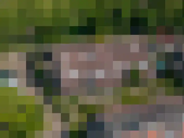 Bosschenhoek 20 Oud-Beijerland thumbnail 37