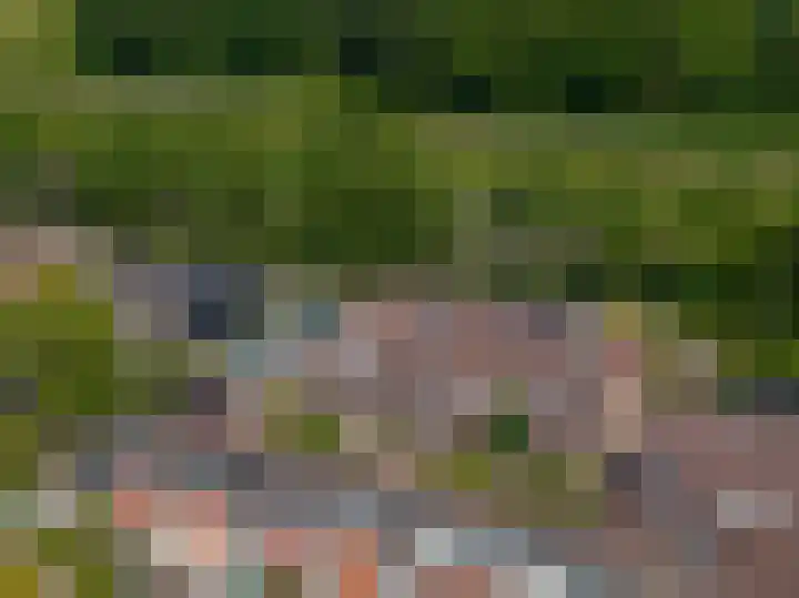 Bosschenhoek 20 Oud-Beijerland thumbnail 38