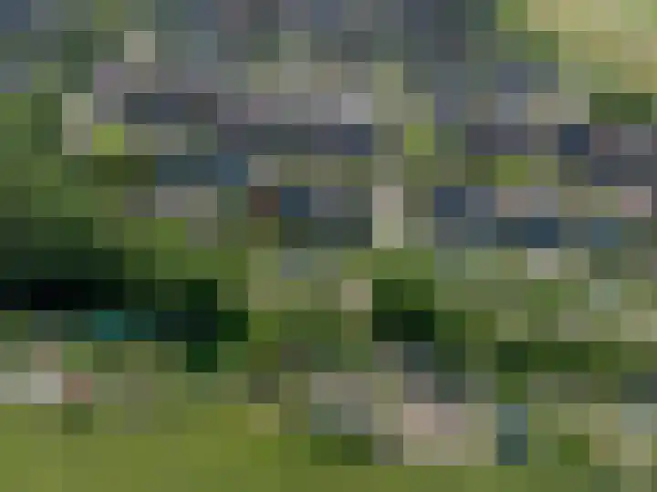 Bosschenhoek 20 Oud-Beijerland thumbnail 39