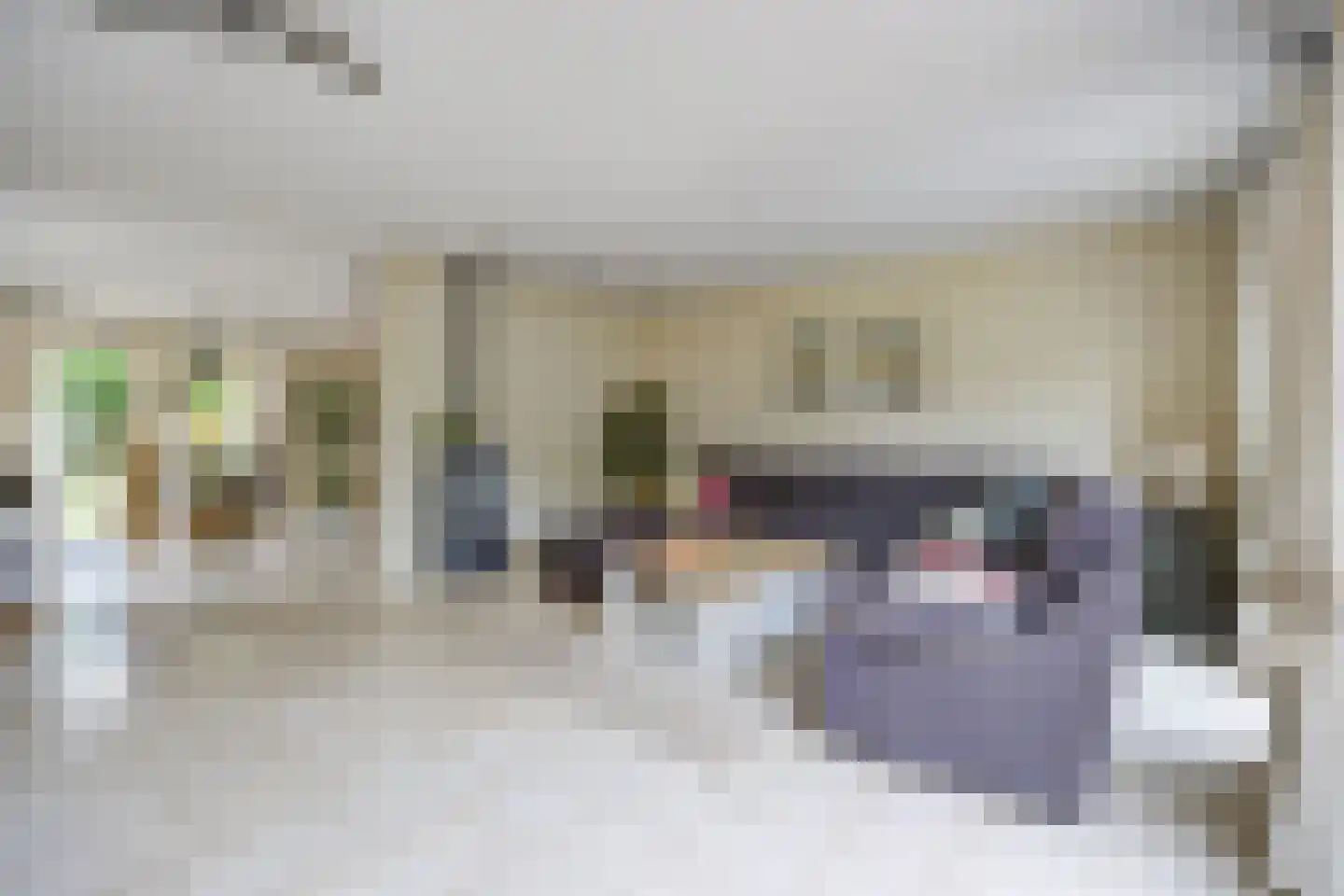 Bosschenhoofdsestraat 19 a Bosschenhoofd thumbnail 15