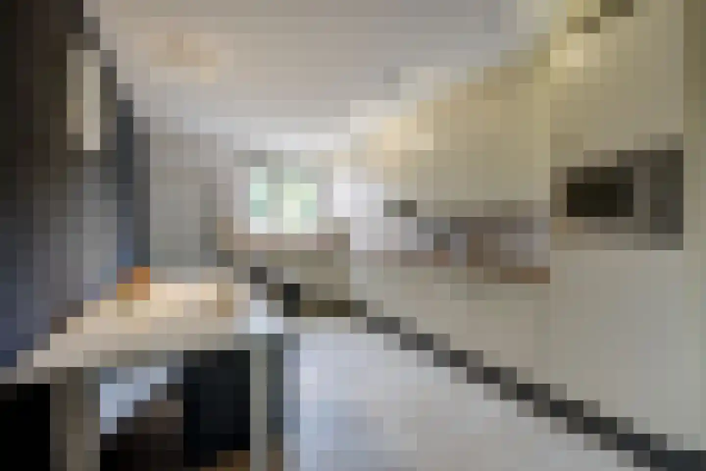 Bosschenhoofdsestraat 19 a Bosschenhoofd thumbnail 19