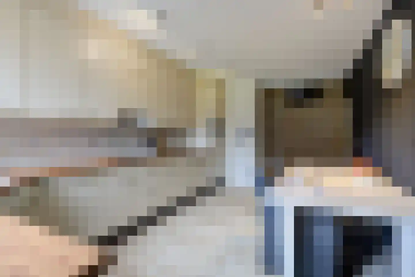 Bosschenhoofdsestraat 19 a Bosschenhoofd thumbnail 20