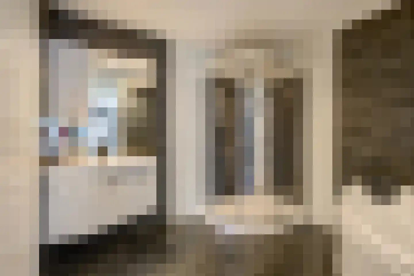Bosschenhoofdsestraat 19 a Bosschenhoofd thumbnail 24