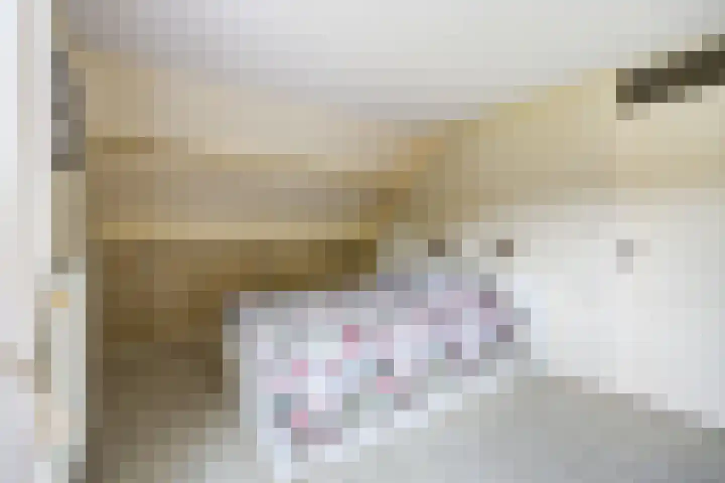 Bosschenhoofdsestraat 19 a Bosschenhoofd thumbnail 31