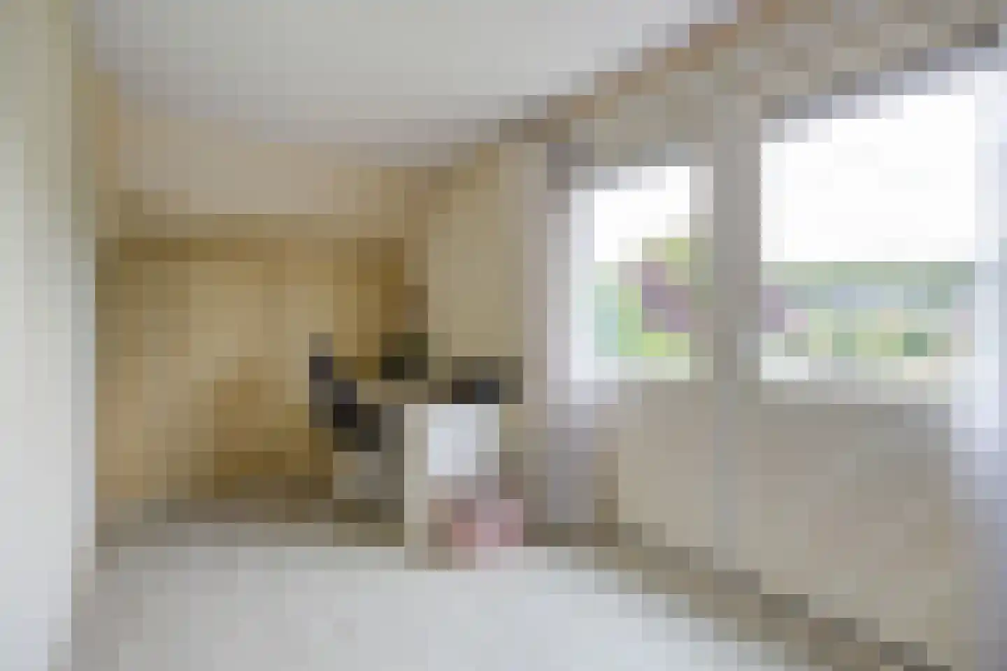 Bosschenhoofdsestraat 19 a Bosschenhoofd thumbnail 33
