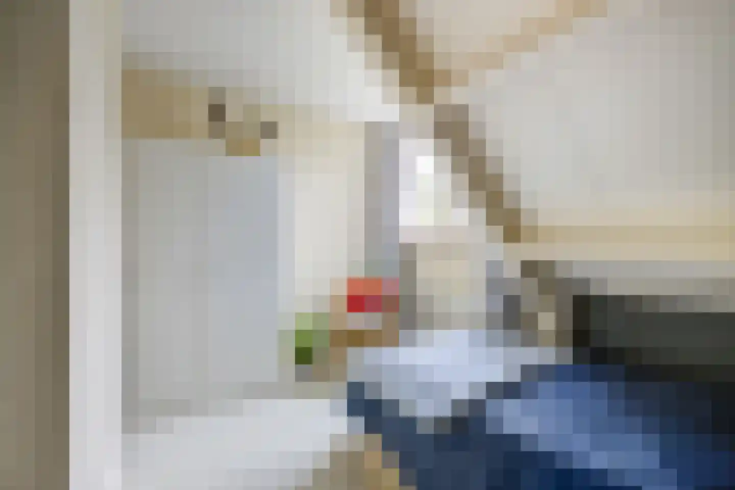 Bosschenhoofdsestraat 19 a Bosschenhoofd thumbnail 35