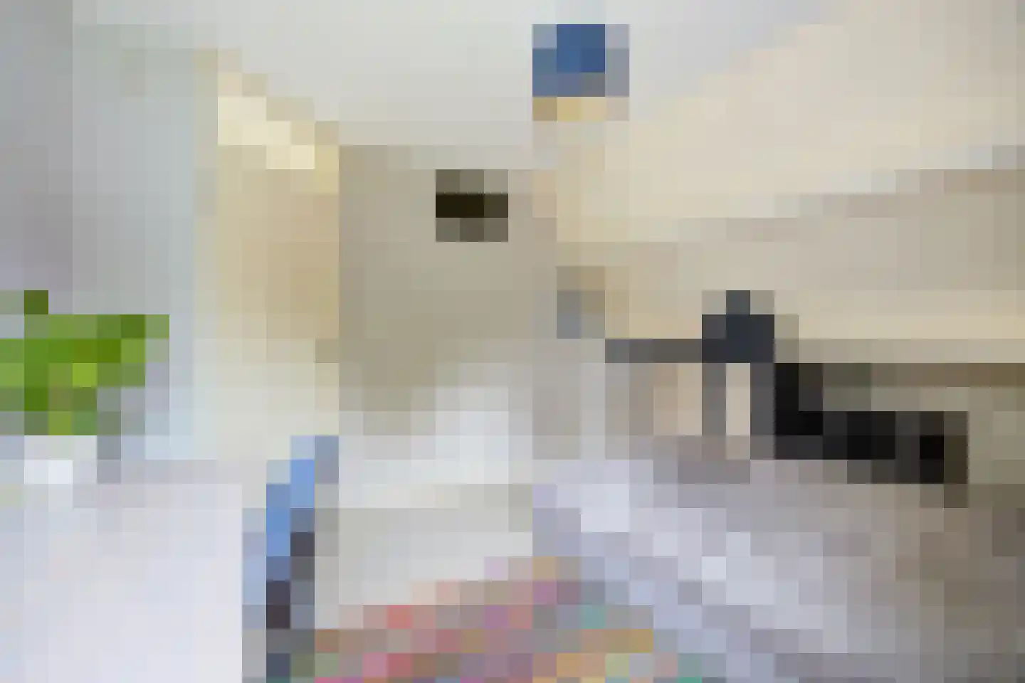 Bosschenhoofdsestraat 19 a Bosschenhoofd thumbnail 37