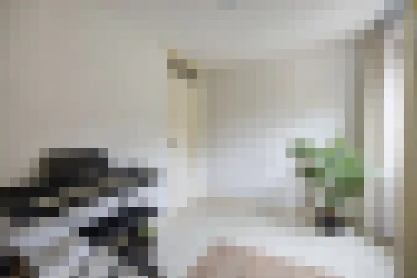 Bosschenhoofdsestraat 19 a Bosschenhoofd thumbnail 40