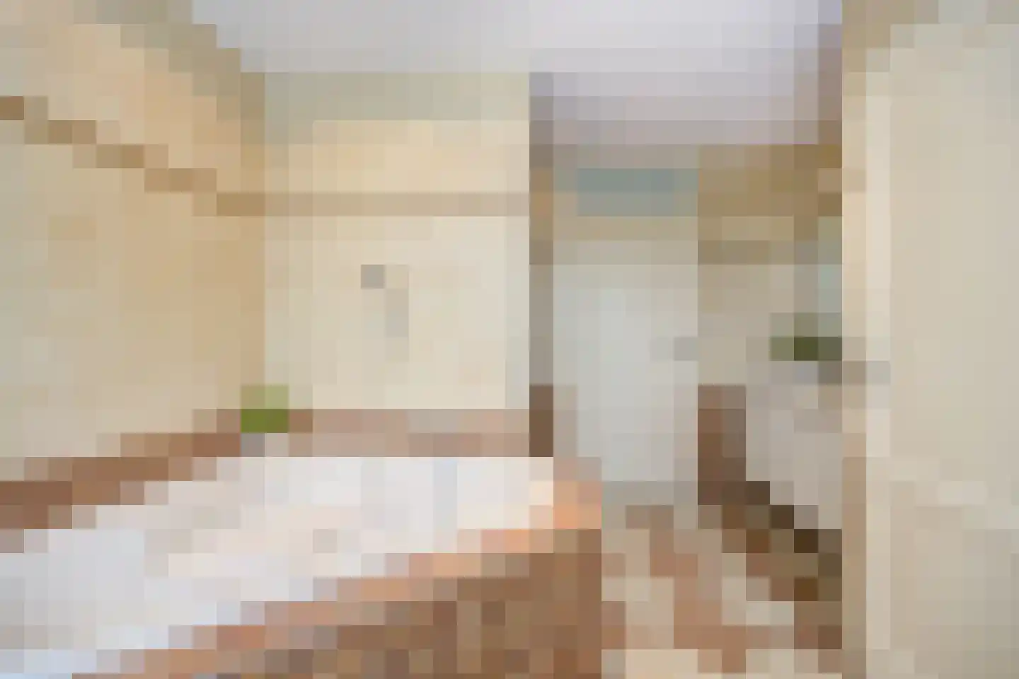 Bosschenhoofdsestraat 19 a Bosschenhoofd thumbnail 44