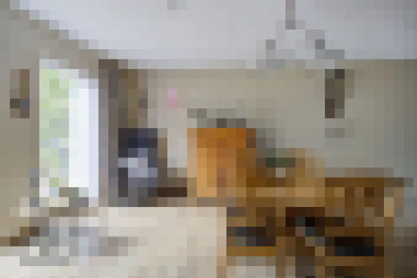 Bosschenhoofdsestraat 19 a Bosschenhoofd thumbnail 47