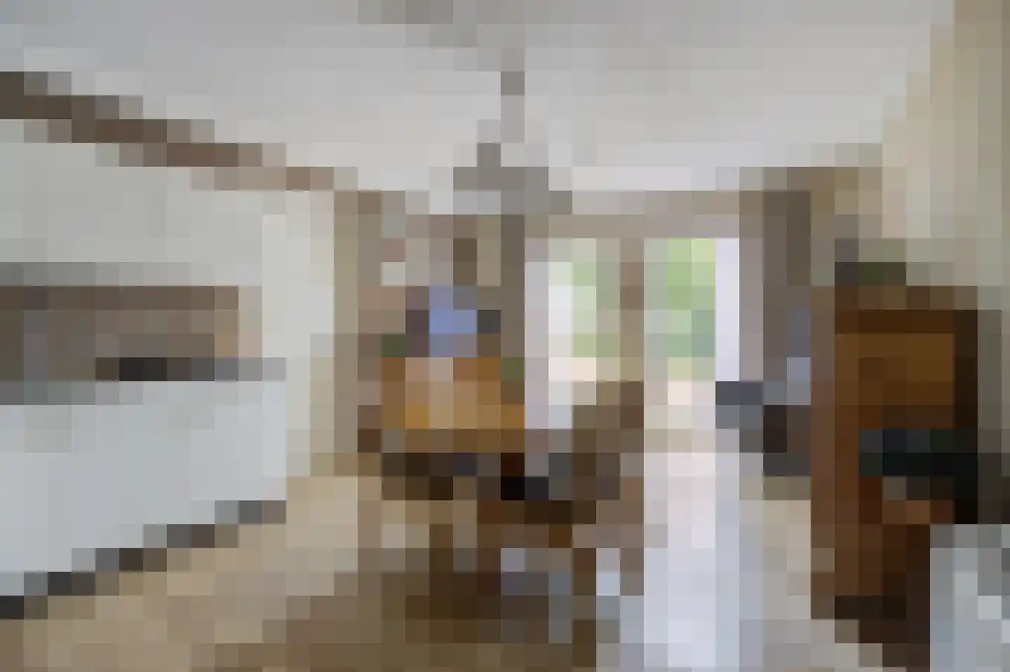 Bosschenhoofdsestraat 19 a Bosschenhoofd thumbnail 50