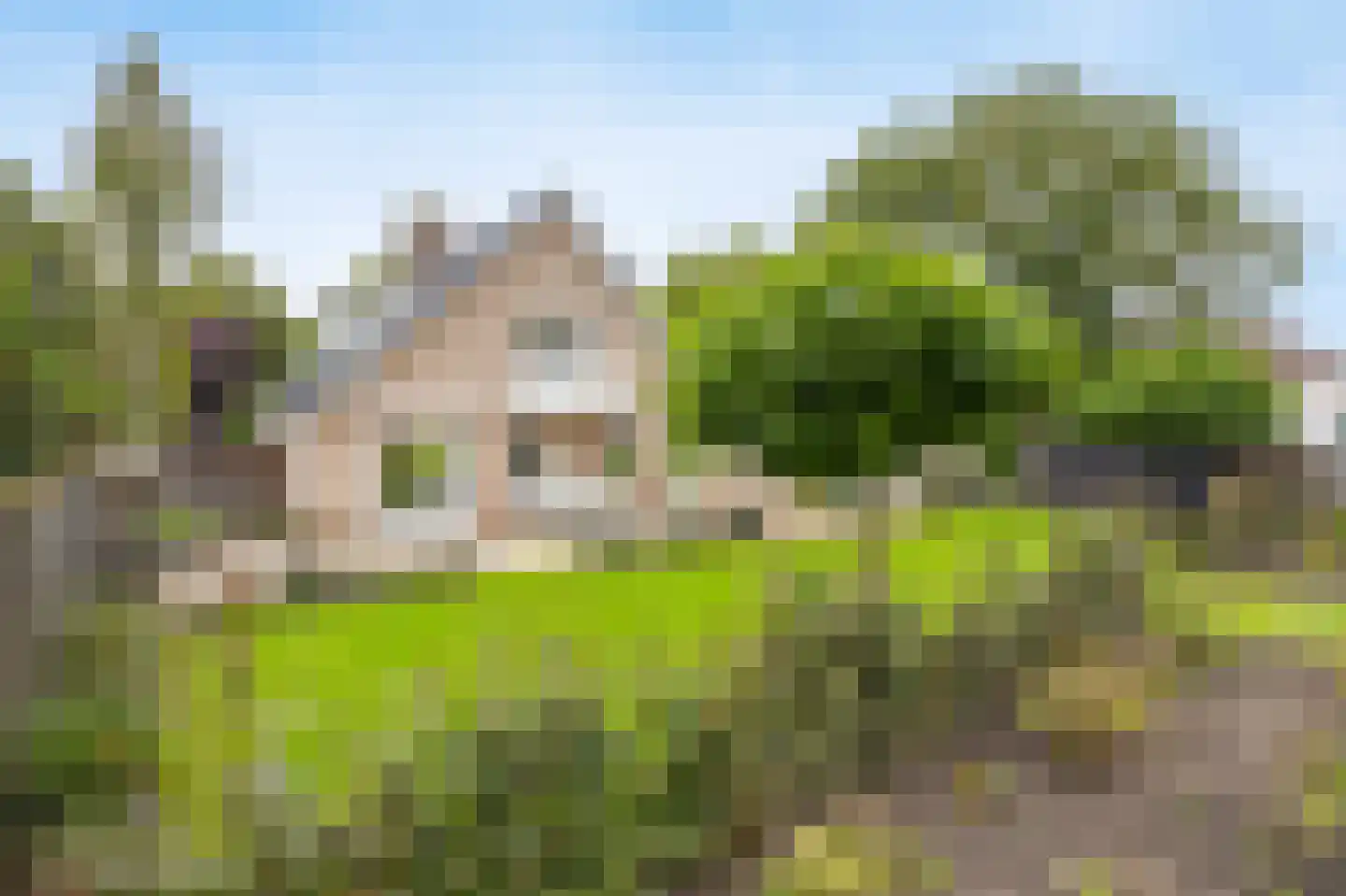 Bosschenhoofdsestraat 19 a Bosschenhoofd thumbnail 63