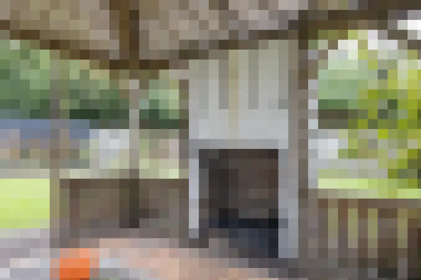 Bosschenhoofdsestraat 19 a Bosschenhoofd thumbnail 67