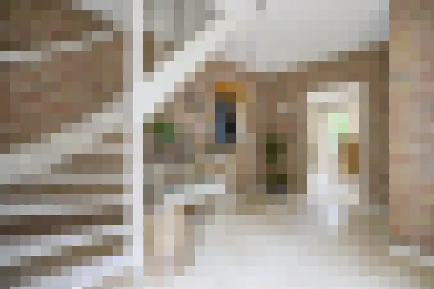 Bosschenhoofdsestraat 19 a Bosschenhoofd thumbnail 8