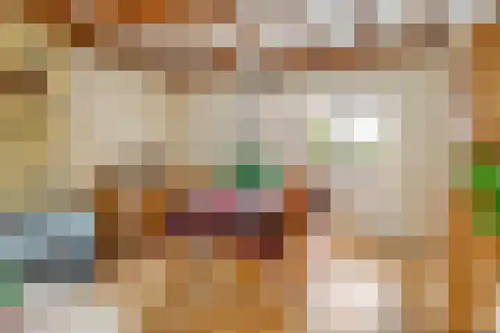 Bosschenhoofdsestraat 24 Bosschenhoofd thumbnail 10