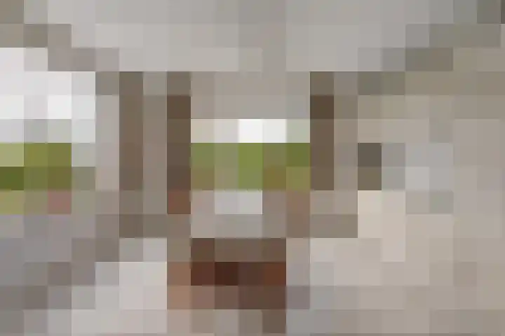 Bosschenhoofdsestraat 24 Bosschenhoofd thumbnail 11