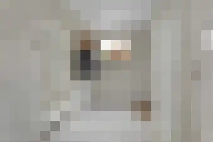 Bosschenhoofdsestraat 24 Bosschenhoofd thumbnail 14