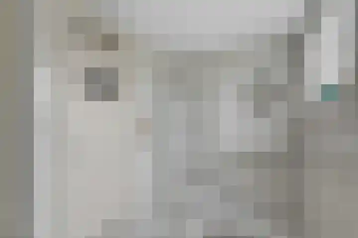 Bosschenhoofdsestraat 24 Bosschenhoofd thumbnail 16