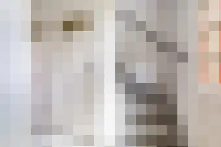 Bosschenhoofdsestraat 24 Bosschenhoofd thumbnail 17