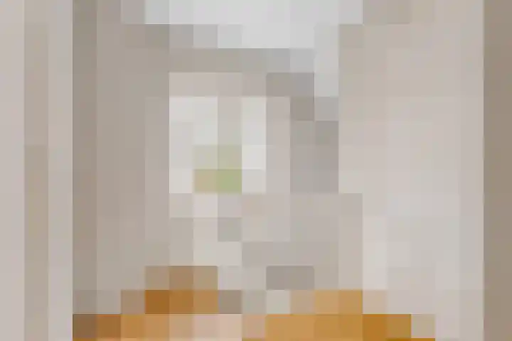 Bosschenhoofdsestraat 24 Bosschenhoofd thumbnail 18