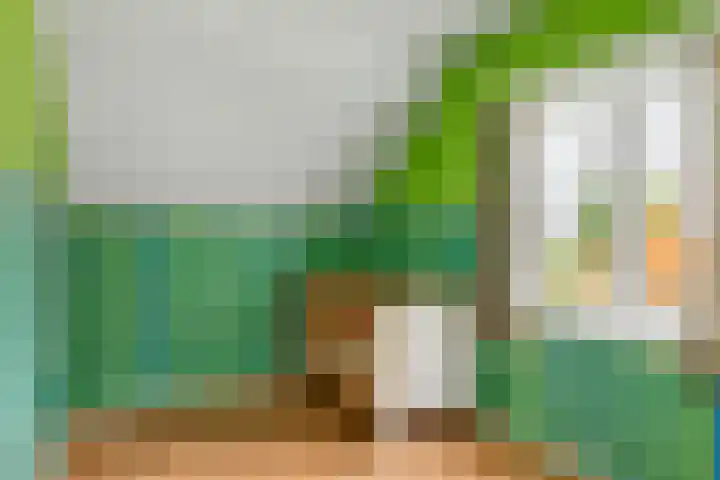 Bosschenhoofdsestraat 24 Bosschenhoofd thumbnail 20