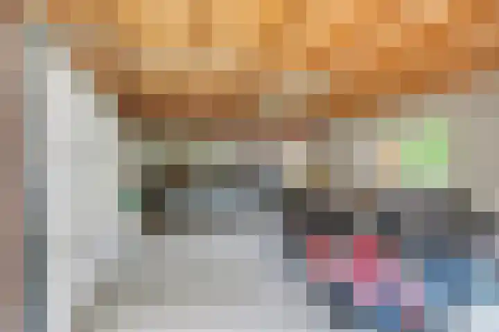 Bosschenhoofdsestraat 24 Bosschenhoofd thumbnail 23