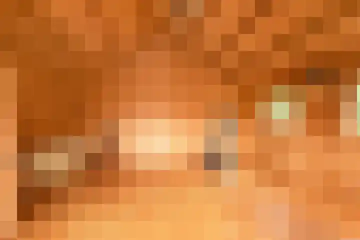 Bosschenhoofdsestraat 24 Bosschenhoofd thumbnail 25