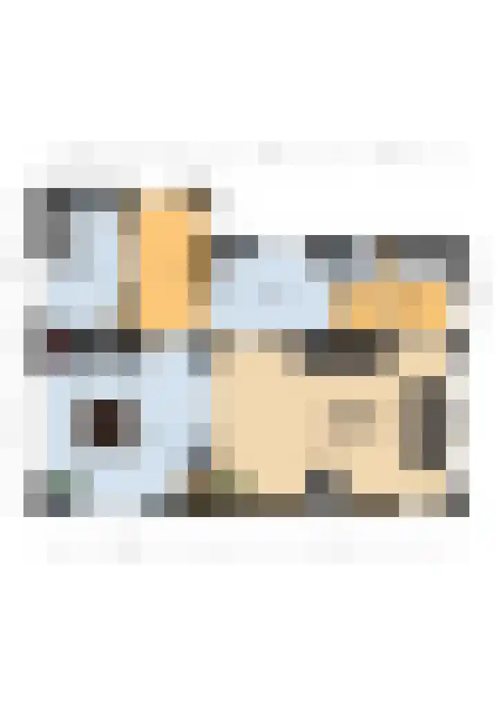 Bosschenhoofdsestraat 24 Bosschenhoofd thumbnail 31