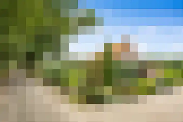 Bosschenhoofdsestraat 24 Bosschenhoofd thumbnail 4