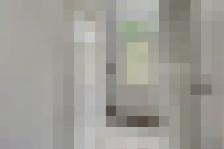 Bosschenhoofdsestraat 24 Bosschenhoofd thumbnail 5