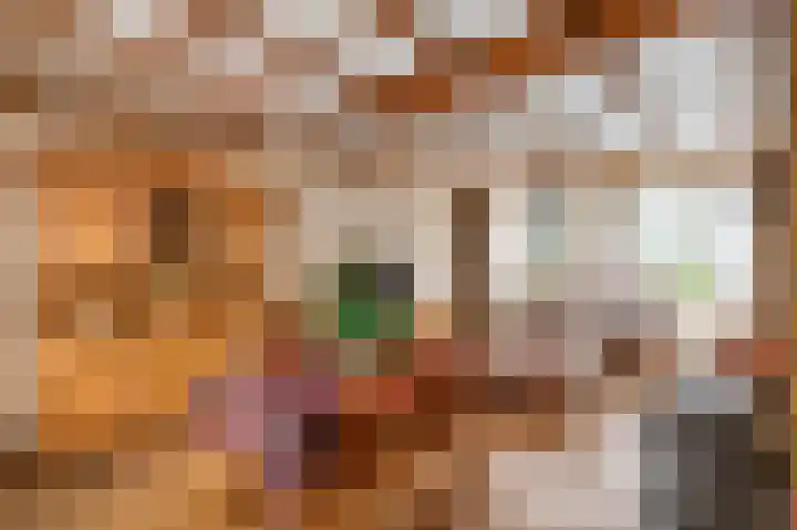 Bosschenhoofdsestraat 24 Bosschenhoofd thumbnail 6
