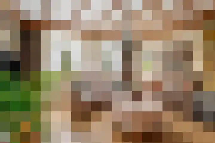 Bosschenhoofdsestraat 24 Bosschenhoofd thumbnail 7