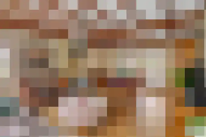 Bosschenhoofdsestraat 24 Bosschenhoofd thumbnail 8