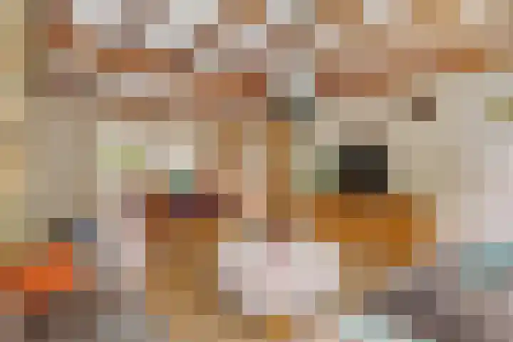 Bosschenhoofdsestraat 24 Bosschenhoofd thumbnail 9