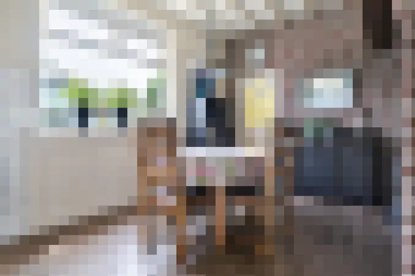 Bosschenhoofdsestraat 35 Bosschenhoofd thumbnail 10