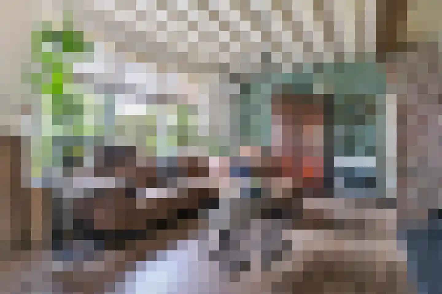 Bosschenhoofdsestraat 35 Bosschenhoofd thumbnail 11