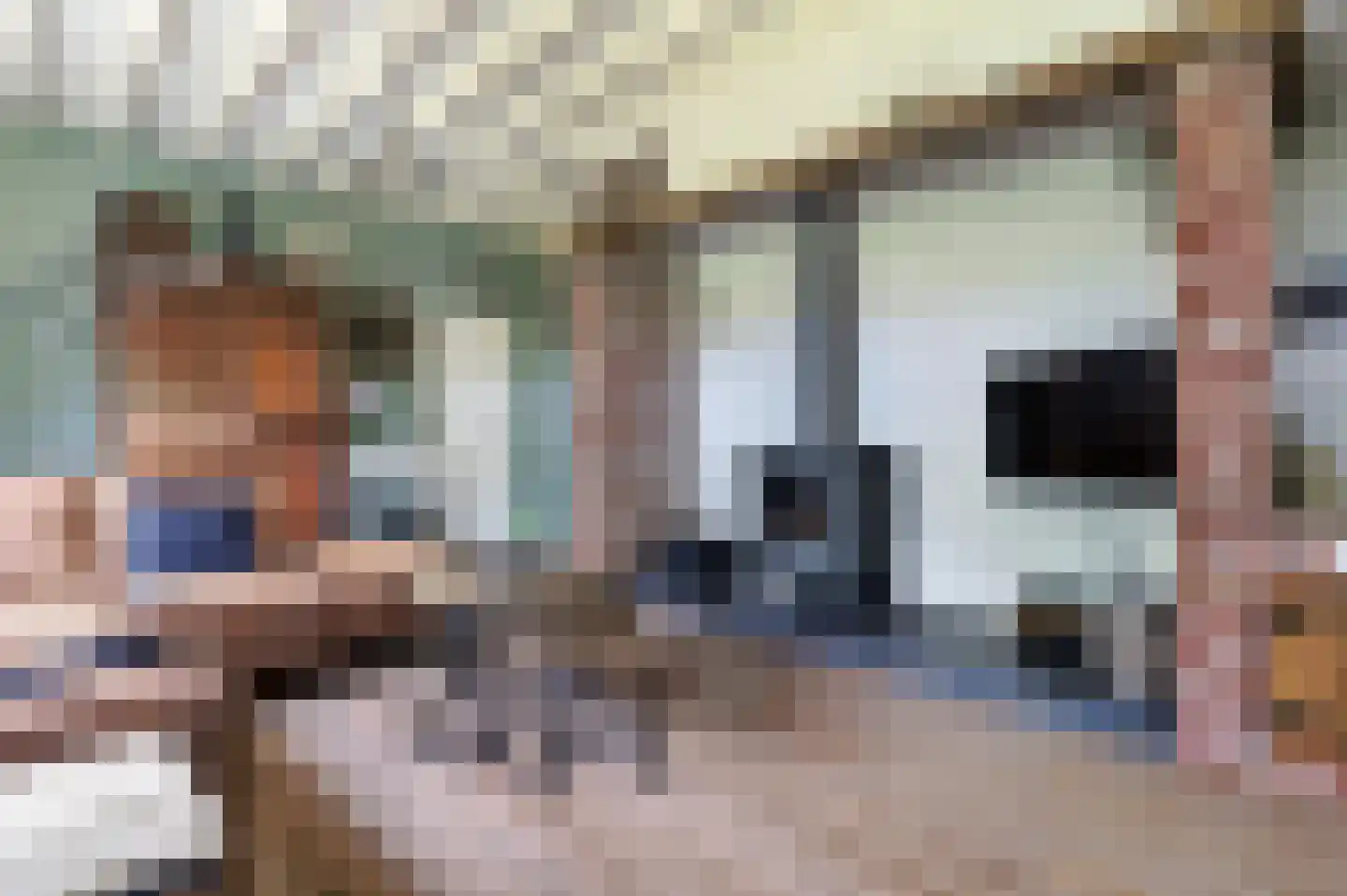 Bosschenhoofdsestraat 35 Bosschenhoofd thumbnail 12