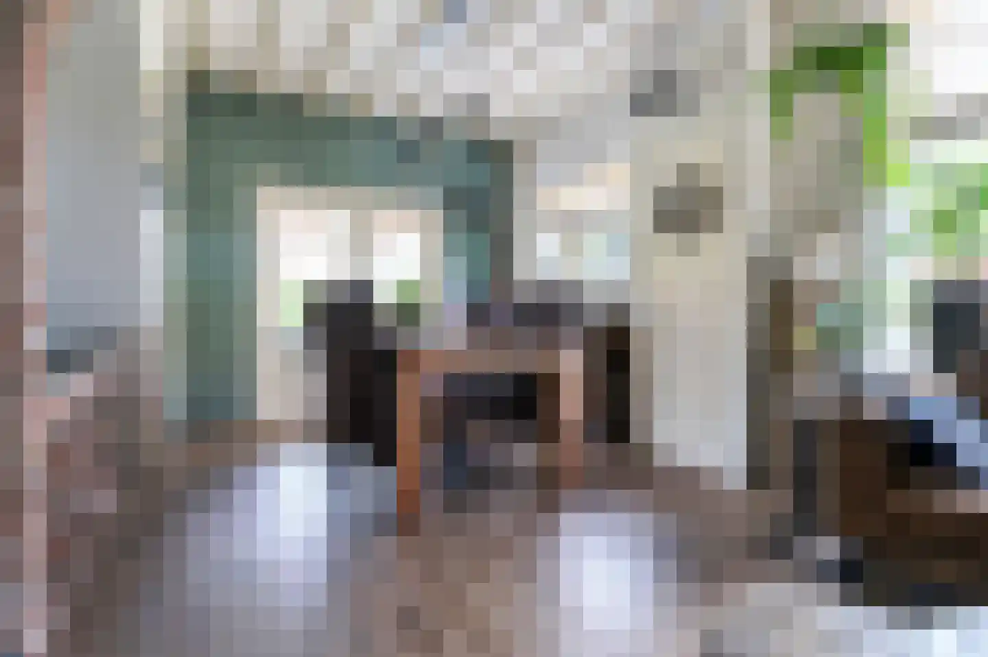Bosschenhoofdsestraat 35 Bosschenhoofd thumbnail 13