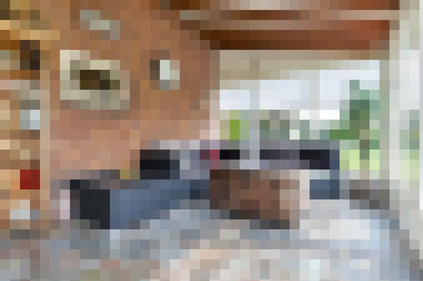 Bosschenhoofdsestraat 35 Bosschenhoofd thumbnail 14