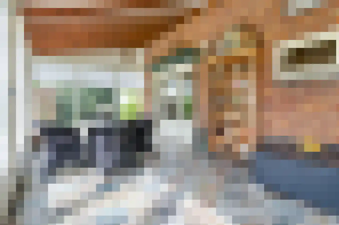 Bosschenhoofdsestraat 35 Bosschenhoofd thumbnail 15