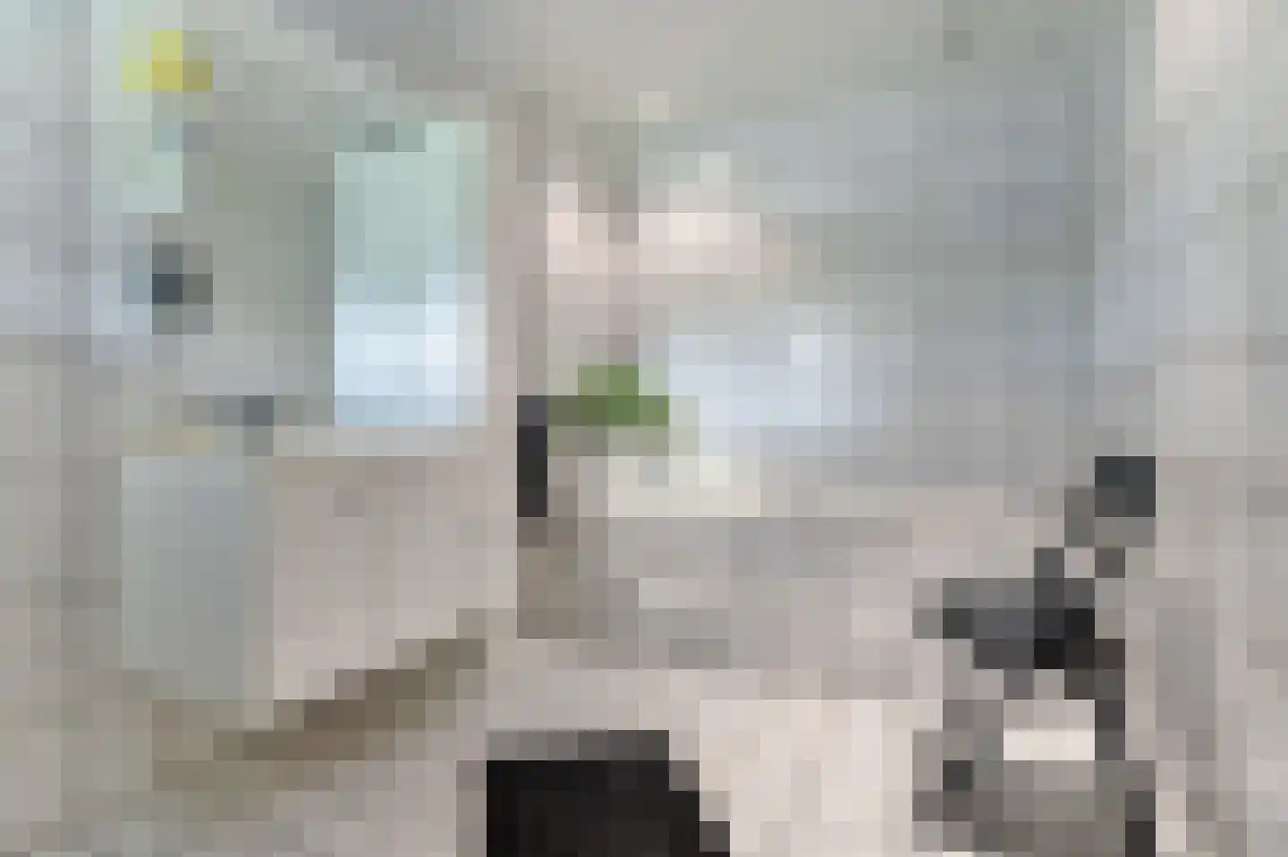 Bosschenhoofdsestraat 35 Bosschenhoofd thumbnail 16