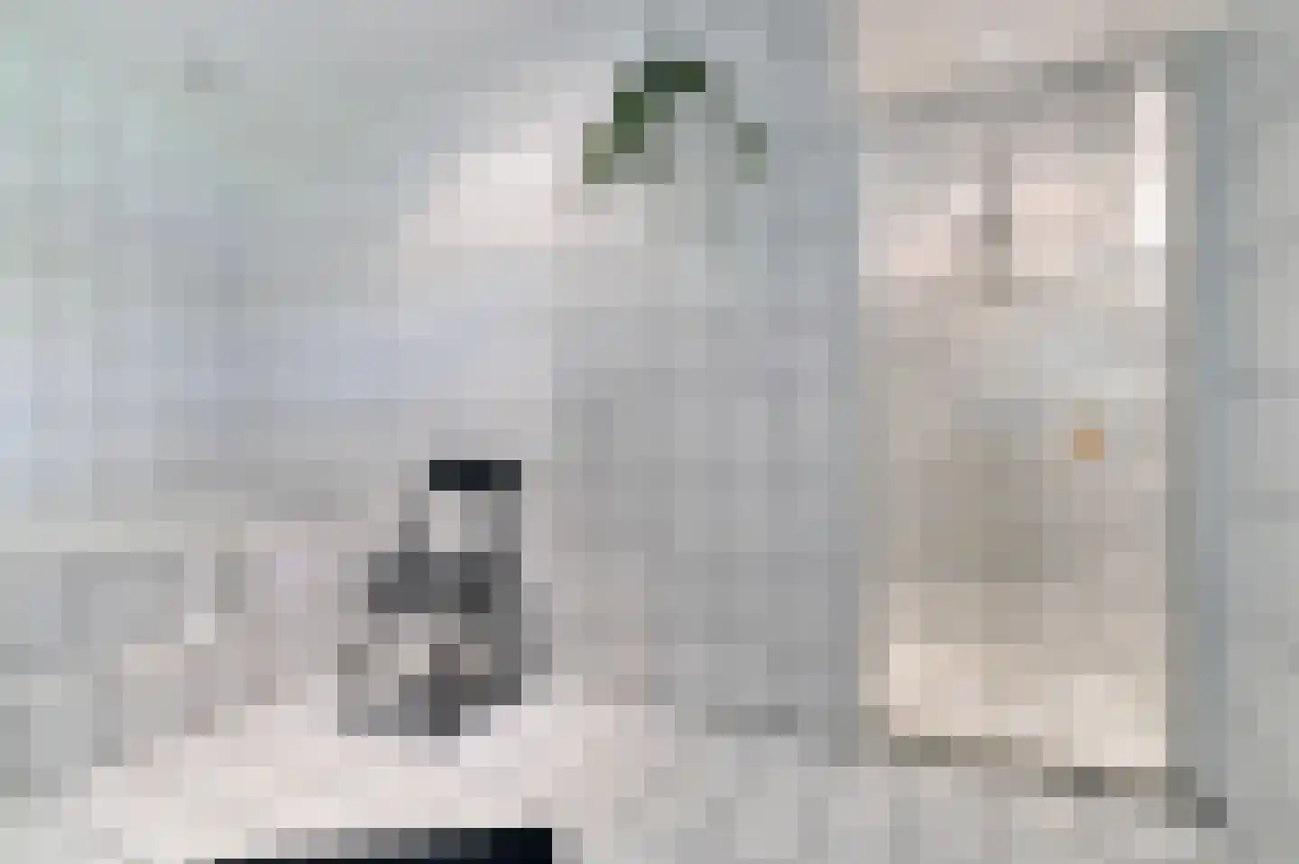 Bosschenhoofdsestraat 35 Bosschenhoofd thumbnail 17