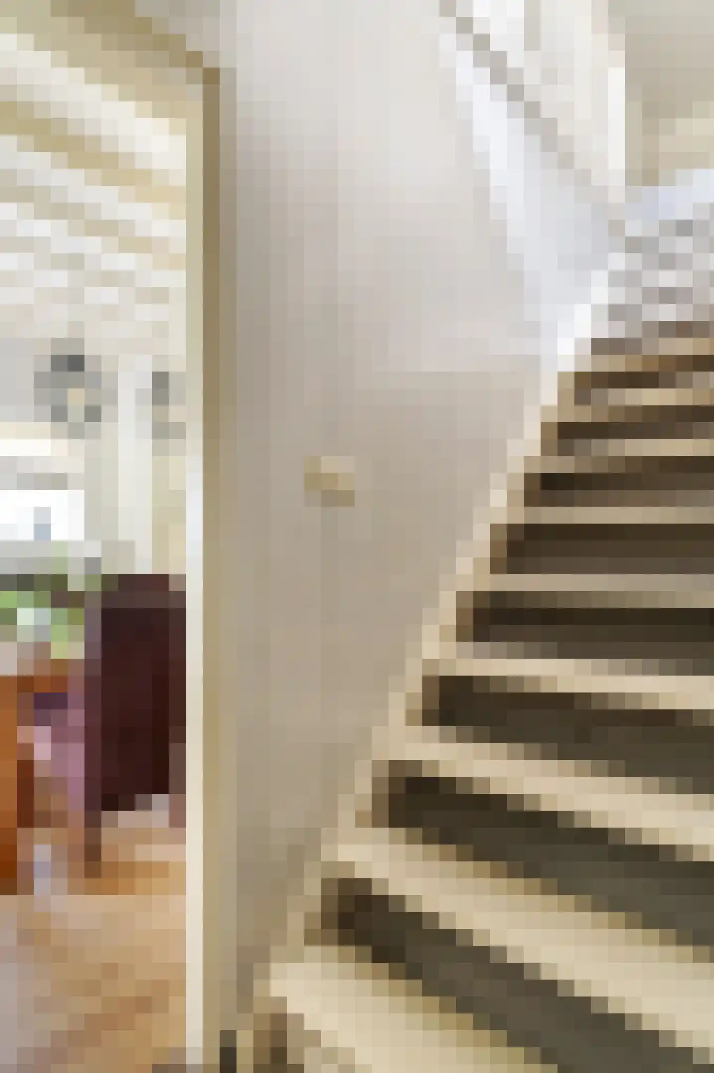 Bosschenhoofdsestraat 35 Bosschenhoofd thumbnail 18
